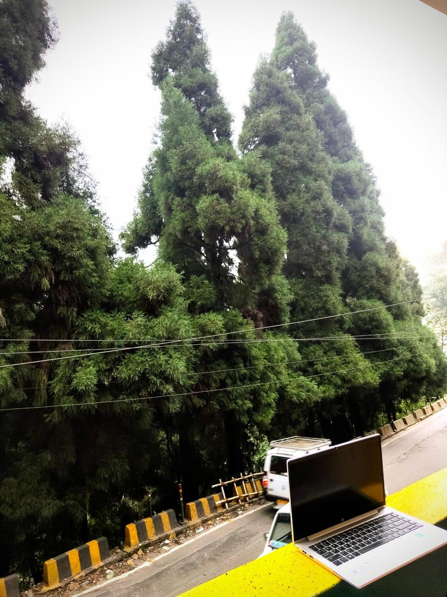 Hidden Monkey Backpackers Darjeeling, Batasia 大吉岭 外观 照片